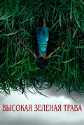 Высокая зеленая трава Высокая зеленая трава